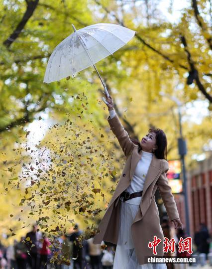 丹东：金色世界的秋日画卷