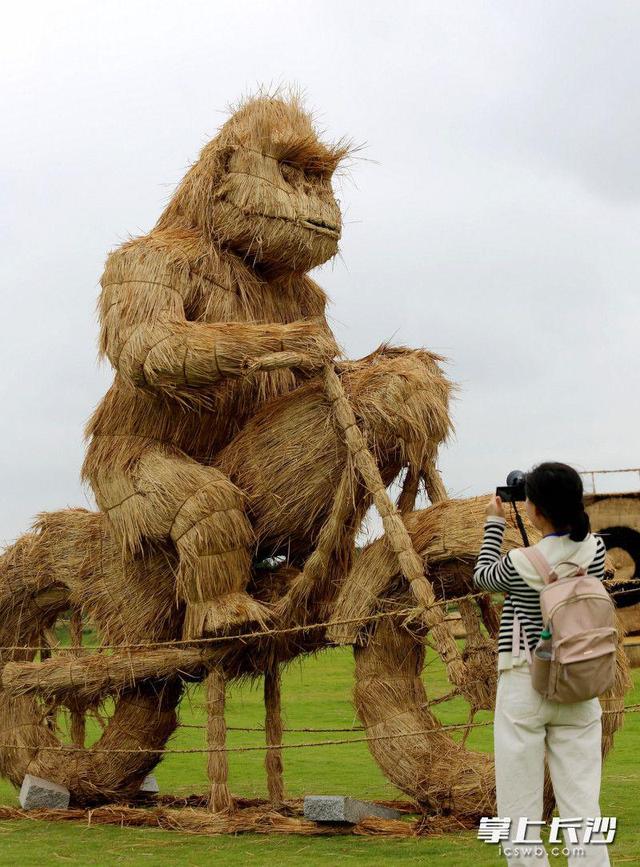 “考古+农耕”双体验，中国最早的城市遗址等你来打卡｜“来这澧 爱这澧”系列报道⑥