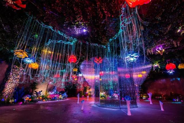 老牌景区点亮新活力！潭溪山以创新实践书写淄川文旅高质量发展新篇章​​