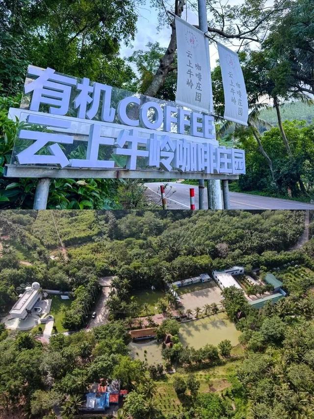 陵水过冬指南：除了晒太阳，还能这么玩！