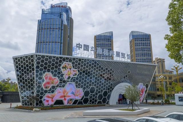 中国斗南花卉展览馆试运营 科技赋能绘就“亚洲花都”新地标