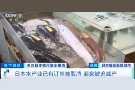 日本金枪鱼价一夜跌24%，福岛海鲜半价无人买 日企心态崩了：自己人也这样？图片