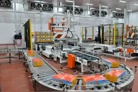 河南知名民营企业家话感受、谈信心：大显身手 正当其时！图片