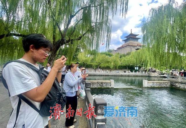 一年四季 泉在济南丨暑假进入后半程 泉水游热度不减