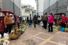 美好生活在云南｜普洱宁洱：菜市春味图片