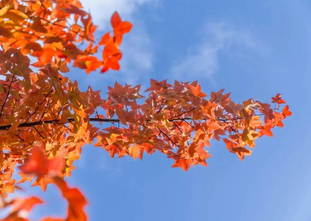 静谧的晋宁昆阳之秋，你可以清晰地听到自己的心跳