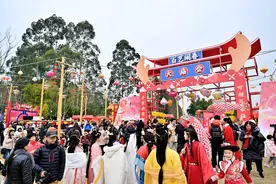 游知道｜逛庙会、赏花灯、观非遗表演……主题乐园过年氛围拉满图片