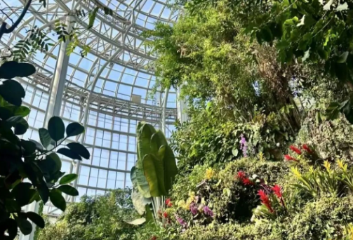 郑州那些你以为很贵其实全都免费的好去处！