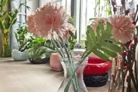 三明这些人喜欢上废品旧物收集！不少是老人，还有“90后”……图片