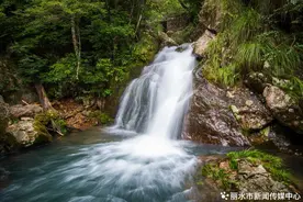 深读丽水 | 一只石蛙，绘出丰收图图片