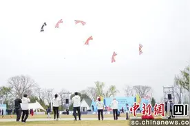 全国42支队伍齐聚绵阳仙海 风筝赛事点燃春日热情图片