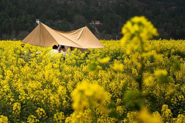 安逸四川 乐游绵阳 ‖ 超棒！梓潼上榜2025中国县域旅游发展潜力百强县！位列第81位！