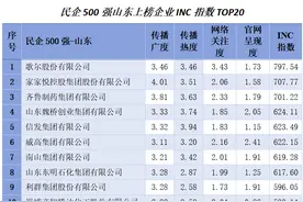 中国民企500强山东52家企业网络传播影响力谁最强图片