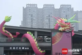 寻龙记：成都街头到处都是龙龙龙龙……｜图集图片