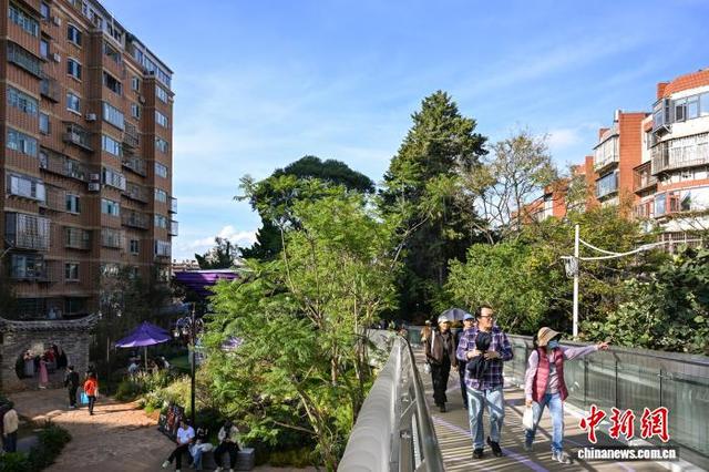 立冬节气 昆明天气晴好暖如春