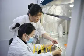 守护粮食安全，她用生物技术探究种子的基因密码 | 泉城有木兰⑦图片