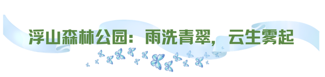 烟雨市北~不必赴江南，雨落此间即诗意