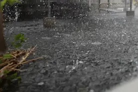 缘何多发？可否理赔？如何防范？——冰雹天气防灾减灾问答图片