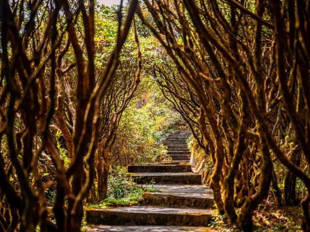 秋游贵州  开启一场康养之旅