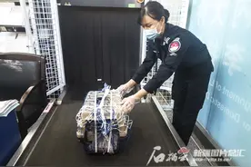 如何带“毛孩子”乘飞机回家过年？乌鲁木齐国际机场这份宠物乘机指南请收好图片