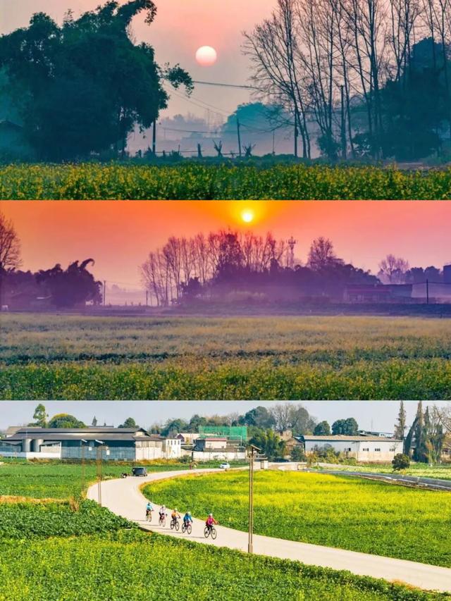 已开！成都怎么提前过上“春天”了