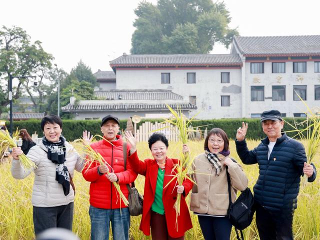北京日报社区小板报 | 红叶观赏高峰期来了