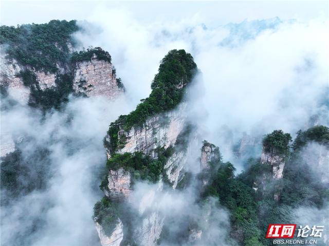 【每日一图@湖南】在杨家界的秋日云海里，遇见最灵动的中国画