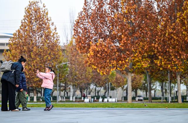 初冬园博园，周末好时光