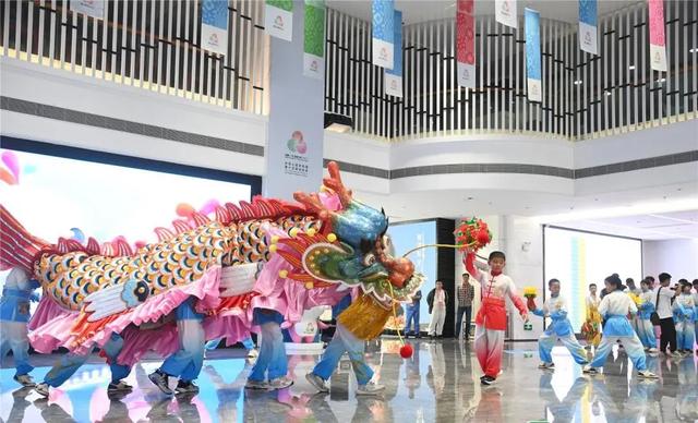 【激情全运会 活力大湾区】还是太全面了