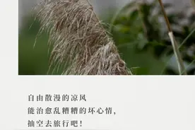 晚安丨自由散漫的凉风能治愈乱糟糟的坏心情，抽空去旅行吧图片