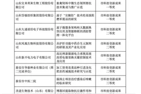 数量最多！泰山区多项科技成果获奖图片