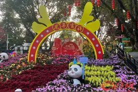 新年“龙出没”！广州动物园带“龙族”动物来拜年图片