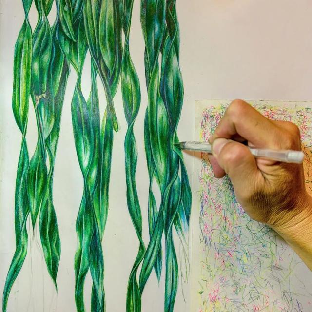 他初中毕业后终身不婚，荒野舍命工作20年	，被一群博士封神