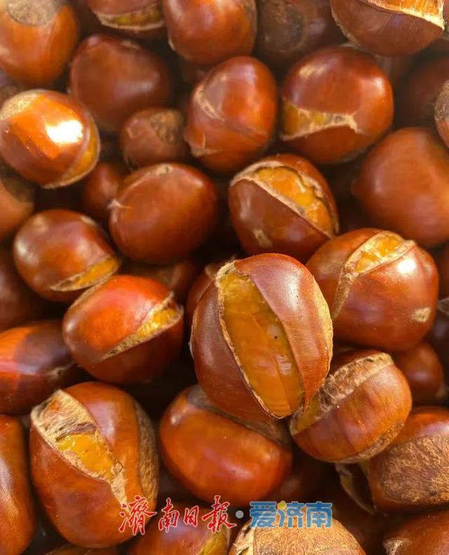 垛庄，乐驰骋：一路欢歌的“乡味乡情”