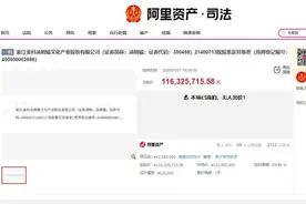 亿元易主失败！“汤姆猫”公司股票流拍，IP十几年前曾火爆全球图片