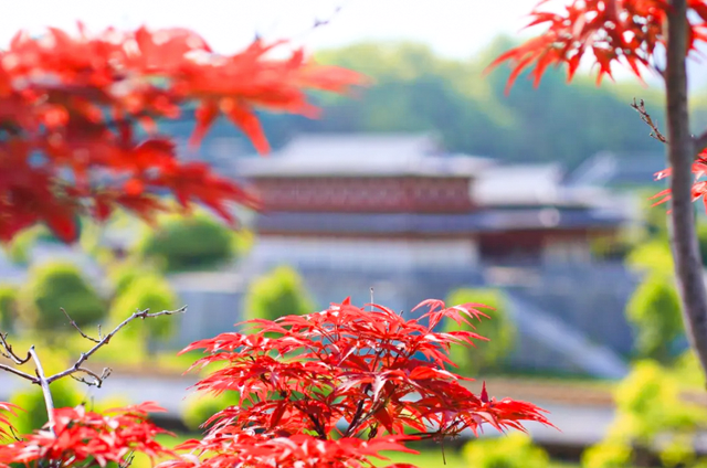 秋风引路入曲江，芙蓉金叶映红墙