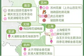 1个月办20多场！它是春日“顶流”……上海这里人从众，餐饮店前也大排长龙图片