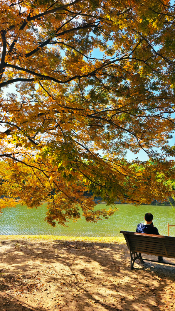 快来这个公园，捕捉五彩斑斓的秋色！