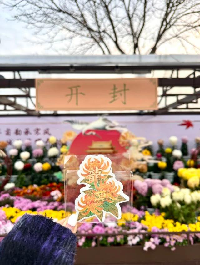 官宣！龙亭菊展延期！