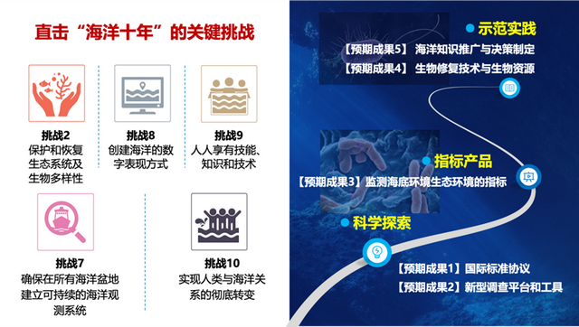 交大领衔！这一国际计划，官宣启动！