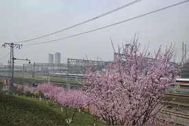 “开往春天的列车”有了姊妹款？重庆两江新区一公园成网红打卡地图片