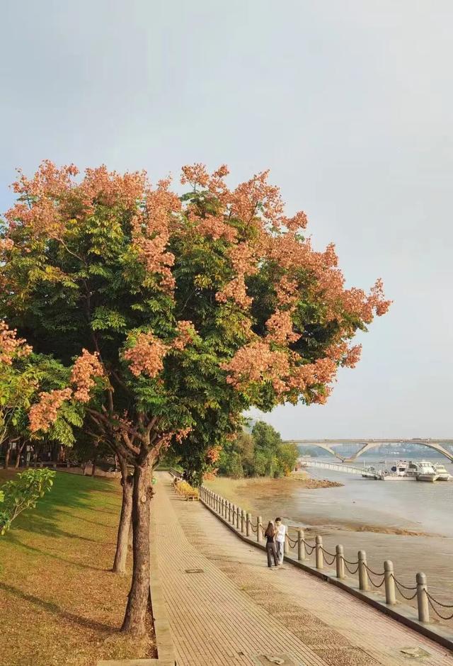 听说，福州人最近都在台江“捡”这些