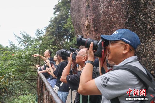 中外摄影师走进世界地质公园江西三清山 定格自然与人文之美