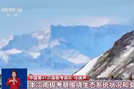 企鹅怕人吗？网友关于探秘南极的这些问题 科考队员来解答啦→图片