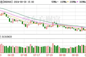 固态电池拉开产业化大幕 群雄并起共赴万亿新征途图片