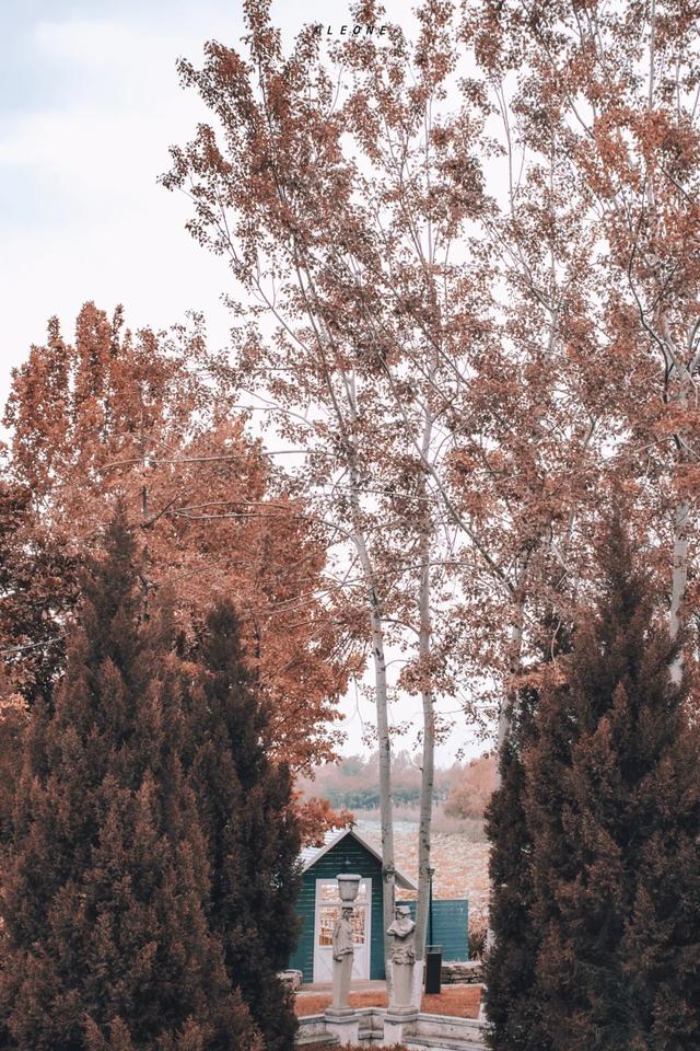 顶级美学！西安这4个园林，美到失语！