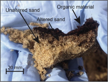 小心脚下！这种“活”沙丘会吃人，6岁男孩瞬间被吞噬，沙下藏着什么？