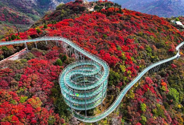 “寻味淄博”三条美食主题旅游线路，挑战你的味蕾