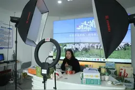 南开区联手环县抢占数字经济新赛道 培育“电小二”劳务新品牌图片