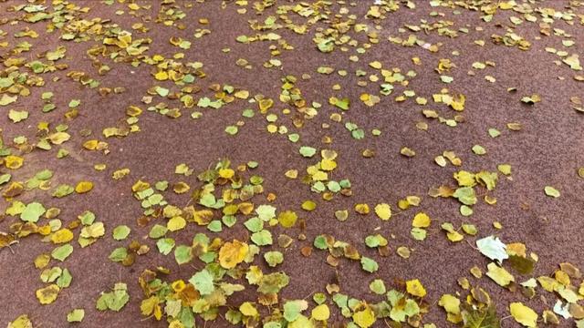 聚焦 || 银川全面入冬了？不！这里把“秋天”留下了……